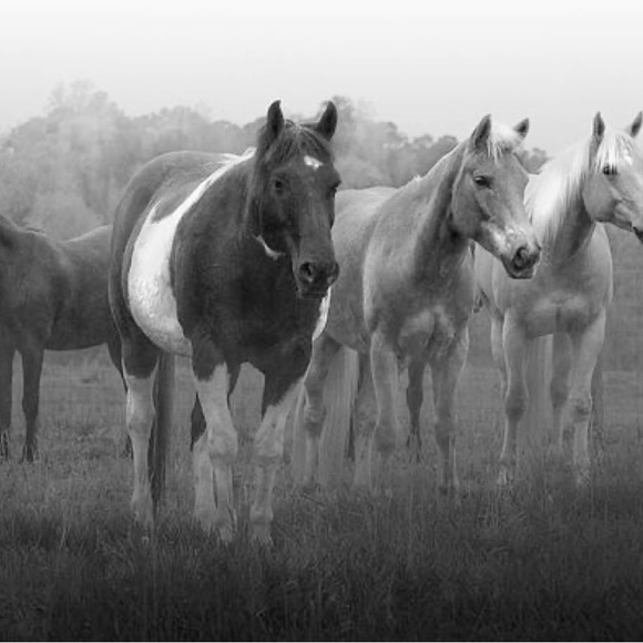 Live Join Now Share Show No Theme - Picture 6 of 13